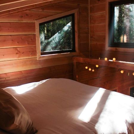 Cabanas Bosque Milenario Coñaripe المظهر الخارجي الصورة