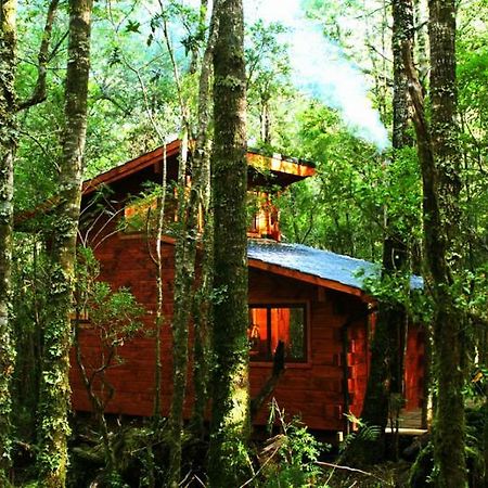 Cabanas Bosque Milenario Coñaripe المظهر الخارجي الصورة