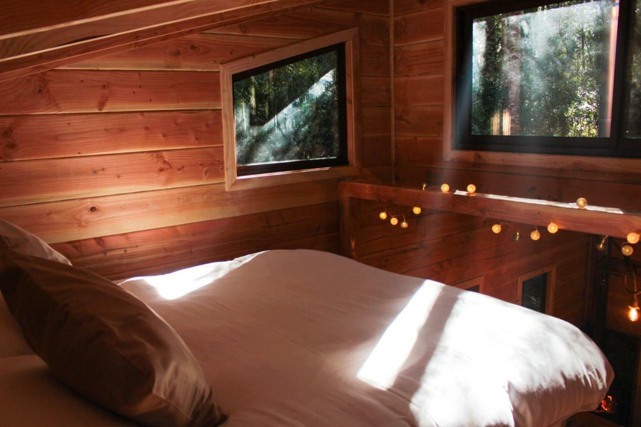 Cabanas Bosque Milenario Coñaripe المظهر الخارجي الصورة