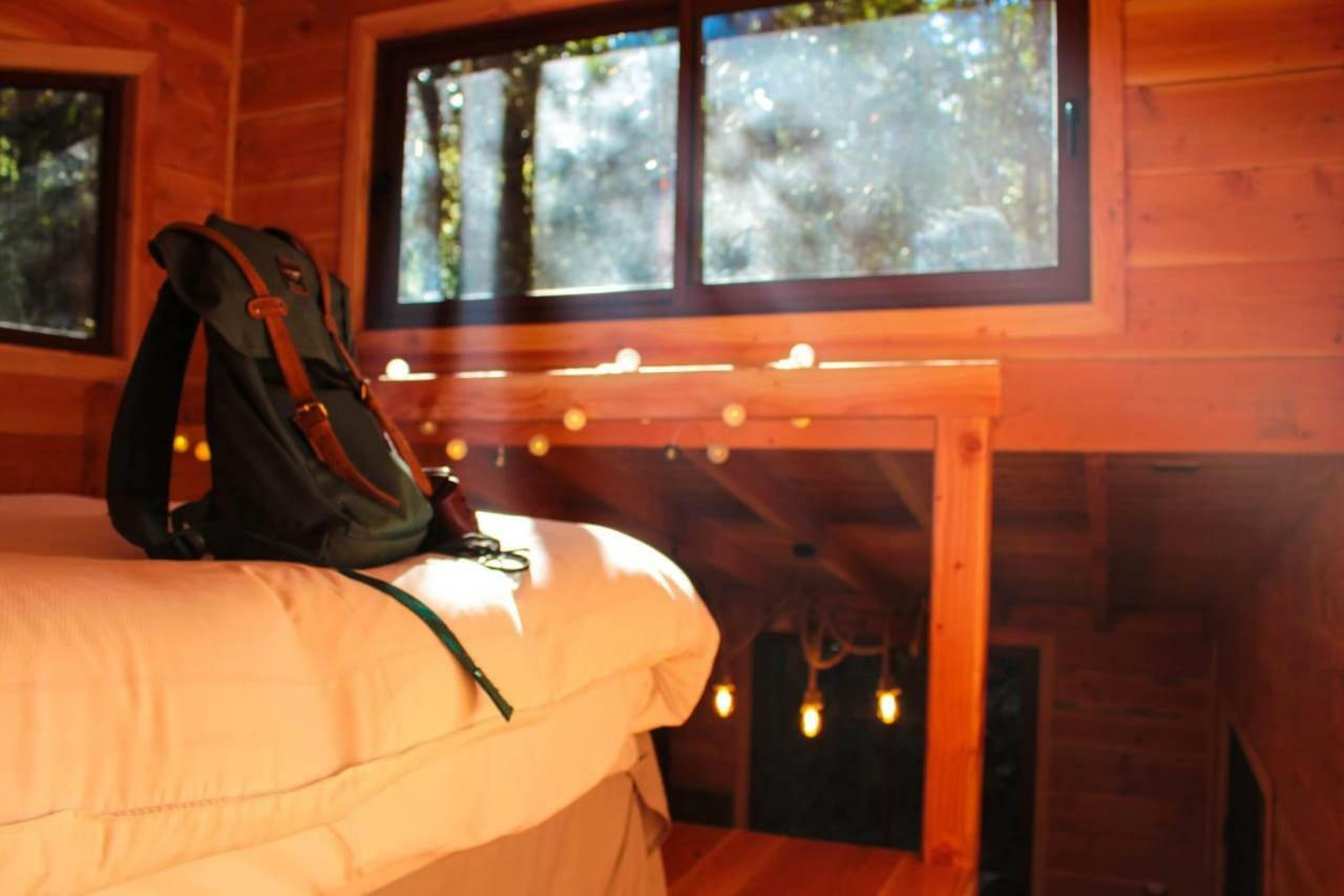Cabanas Bosque Milenario Coñaripe المظهر الخارجي الصورة