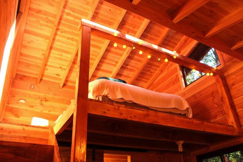Cabanas Bosque Milenario Coñaripe المظهر الخارجي الصورة