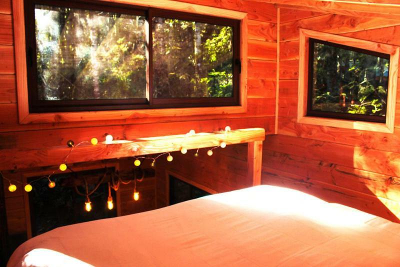Cabanas Bosque Milenario Coñaripe المظهر الخارجي الصورة
