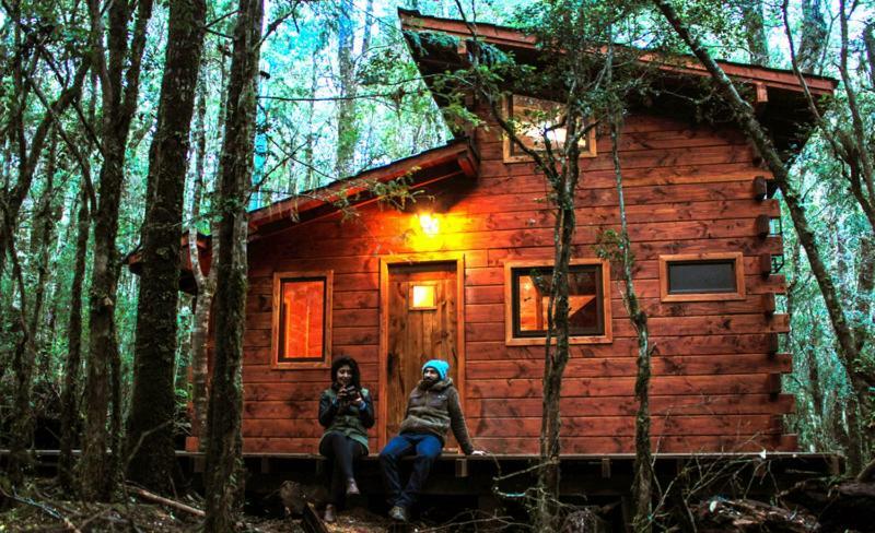 Cabanas Bosque Milenario Coñaripe المظهر الخارجي الصورة