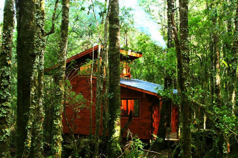 Cabanas Bosque Milenario Coñaripe المظهر الخارجي الصورة