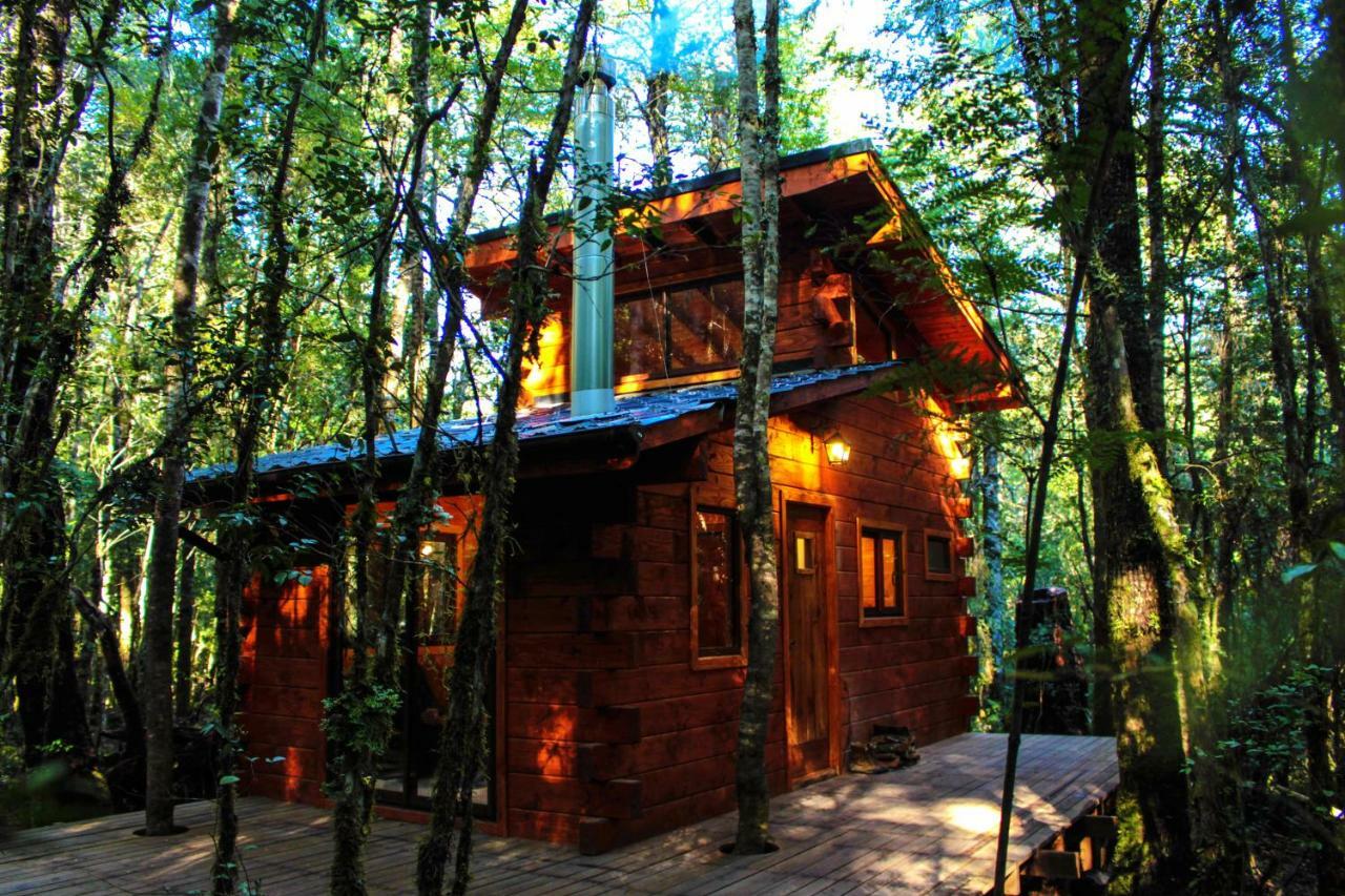 Cabanas Bosque Milenario Coñaripe المظهر الخارجي الصورة