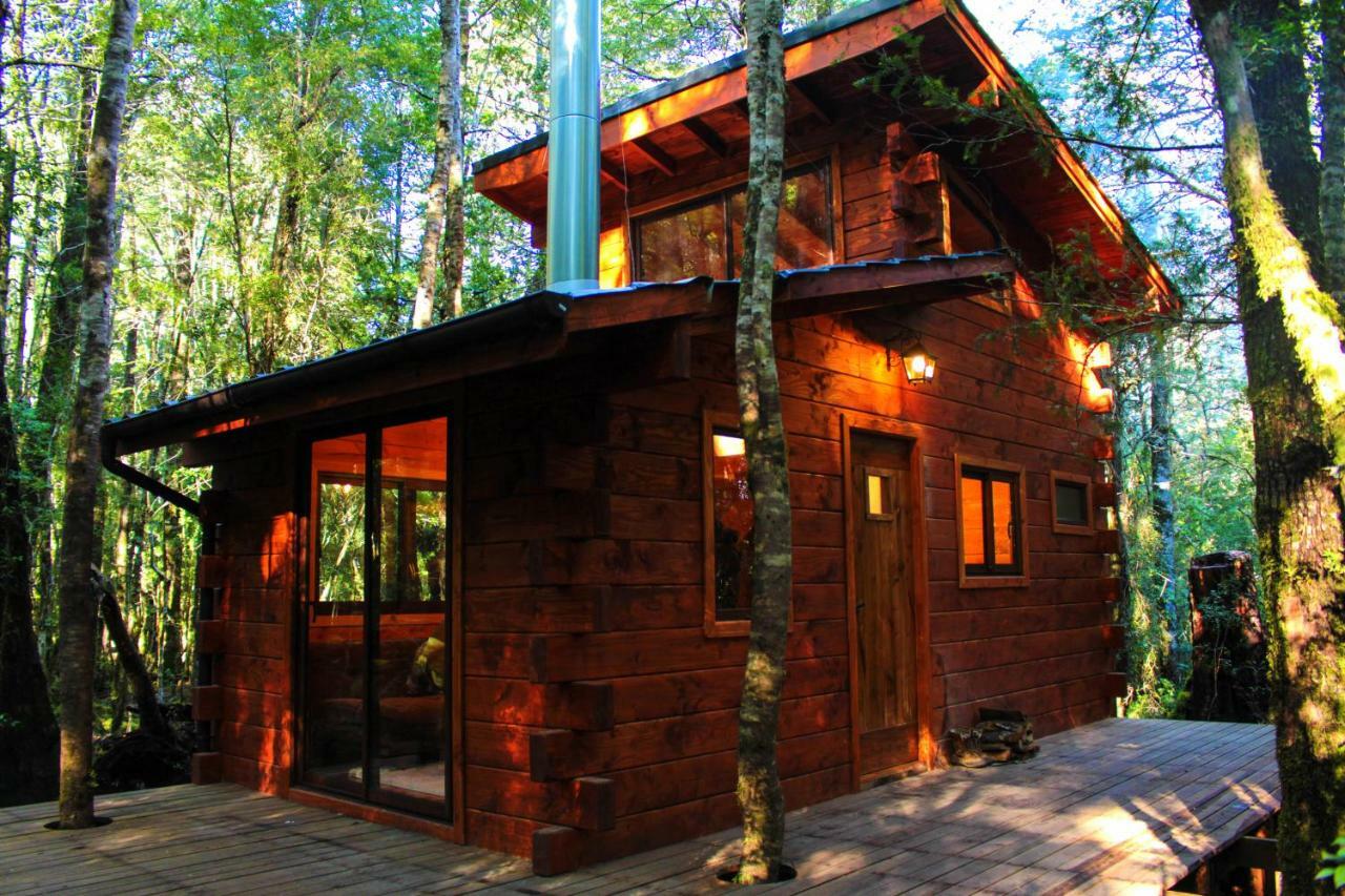 Cabanas Bosque Milenario Coñaripe المظهر الخارجي الصورة