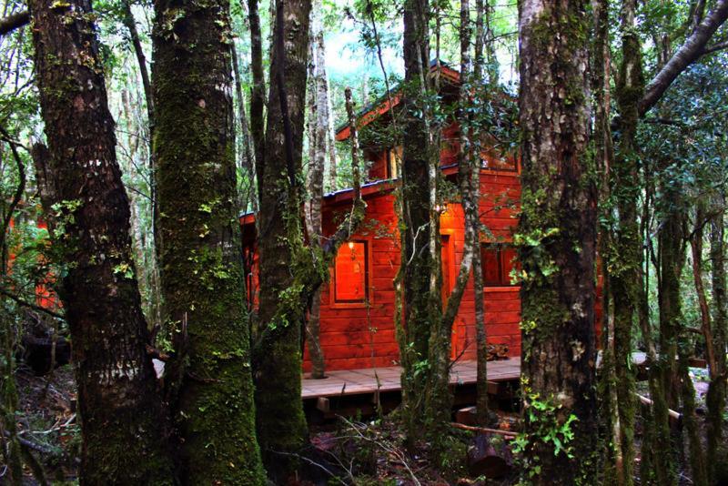 Cabanas Bosque Milenario Coñaripe المظهر الخارجي الصورة