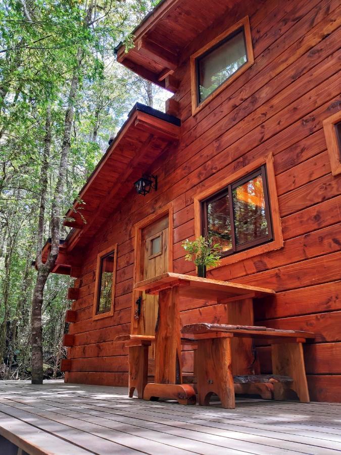 Cabanas Bosque Milenario Coñaripe المظهر الخارجي الصورة